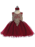 Infant Baby Girl Lace and Tulle Dress