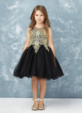 Girls Short Length Tulle Ruffled Trim Dress