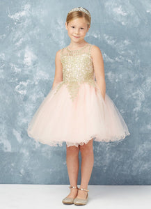 Girls Short Length Tulle Ruffled Trim Dress