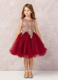 Girls Short Length Tulle Ruffled Trim Dress