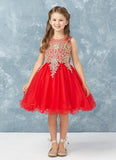 Girls Short Length Tulle Ruffled Trim Dress