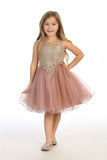 Girls Short Length Tulle Ruffled Trim Dress