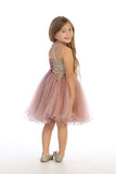 Girls Short Length Tulle Ruffled Trim Dress