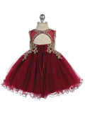 Infant Baby Girl Lace and Tulle Dress