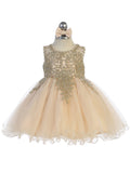 Infant Baby Girl Lace and Tulle Dress