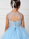 Girls Short Length Tulle Ruffled Trim Dress