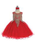 Infant Baby Girl Lace and Tulle Dress