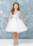 Girls Short Length Tulle Ruffled Trim Dress