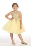 Girls Short Length Tulle Ruffled Trim Dress