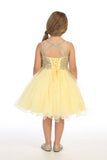 Girls Short Length Tulle Ruffled Trim Dress