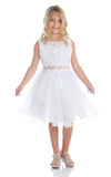 Girls Floral Applique Top Tulle Dress in Knee Length