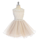 Girls Floral Applique Top Tulle Dress in Knee Length