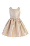 Girls Ornate Imperial Brocade Style Dress
