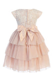Girls Lace and Tulle Layered Dress with Cap Sleeve