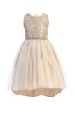 Girls Hi-Low Dress with Satin and Tulle Skirt