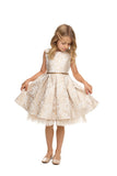 Girls Floral Pleated Party Dress