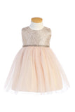 Baby Dress with Tulle Skirt Rose