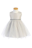Baby Dress with Tulle Skirt Rose
