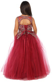Girls Floor Length Tulle and Lace Applique Dress with Open Back